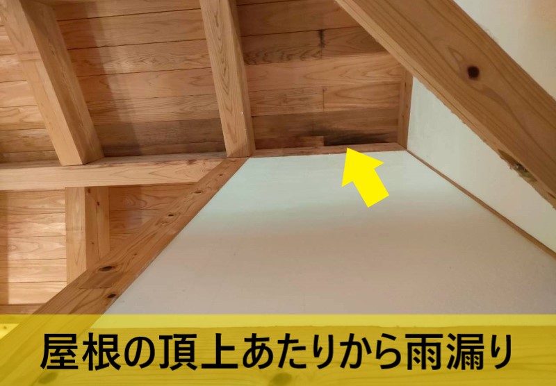 屋根の頂上辺りから雨漏りしている状況　天井の高い部分にシミができている